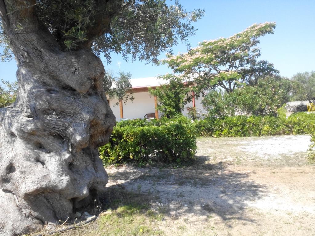 Agriturismo Villa Tommaso Torre dell'Orso Zewnętrze zdjęcie